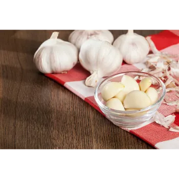 Organic Garlic