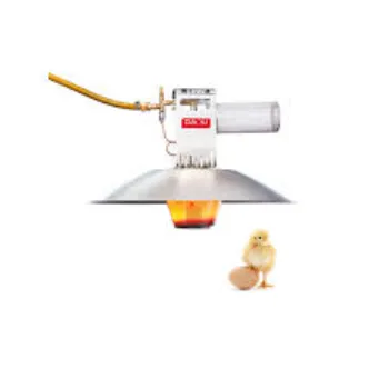 Fully Customized  Gas Brooder