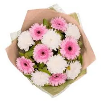 Fresh Gerbera Flower