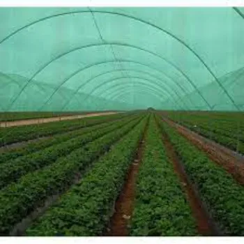  Green Shade Net
