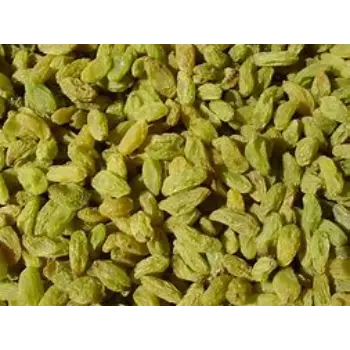 Green Raisin