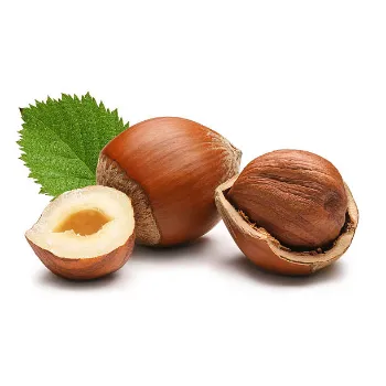  Organic Hazelnut
