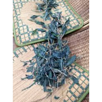 Dry Indigo Leaves