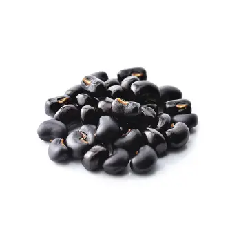 Fresh Juniper Berries