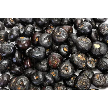 Fresh Juniper Berries Manufacturer