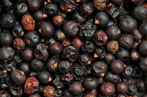 Natural  Juniper Berries
