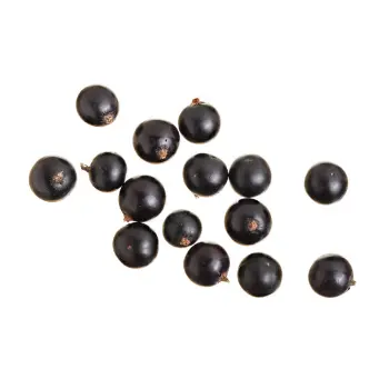  Organic Juniper Berries