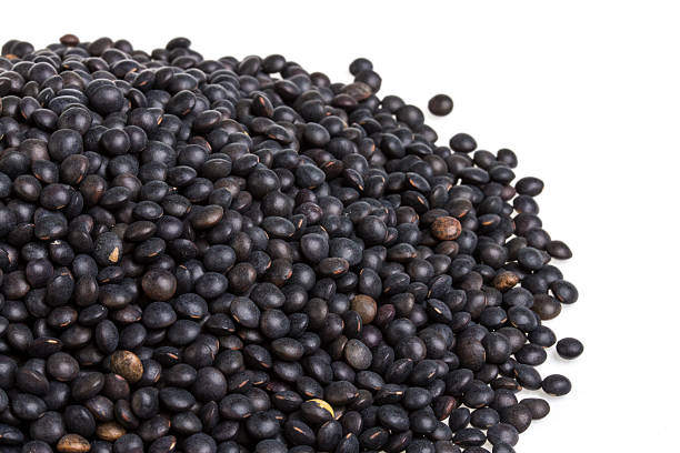 Common  Juniper Berries