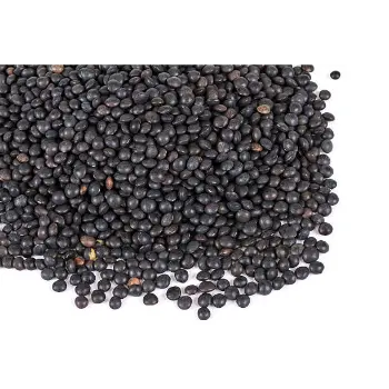 Organic Juniper Berries Supplier