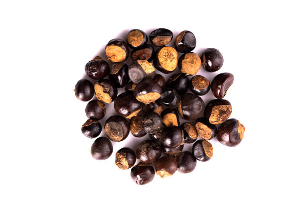  Common  Juniper Berries