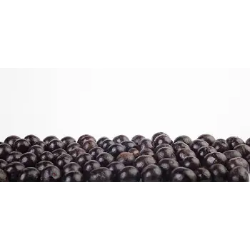 Fresh Juniper Berries Supplier