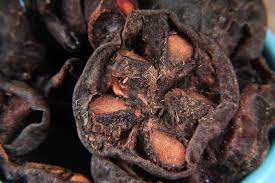 Natural Kokum