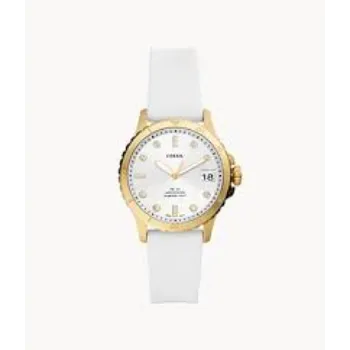 Carve Ladies Watches 