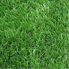 Passfolma Lawn Grass