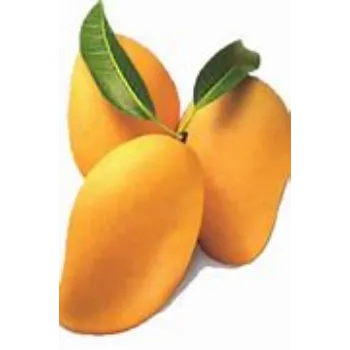  Mango  