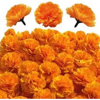 Fresh Marigold Flowers Manufacturer