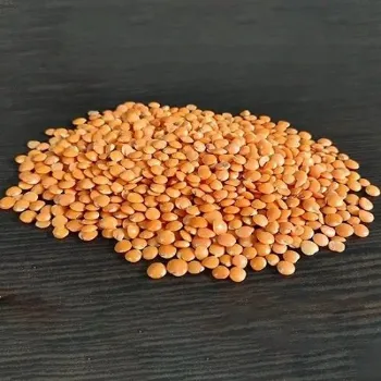 Masoor Dal