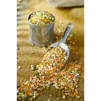 A Grade Millet Seeds