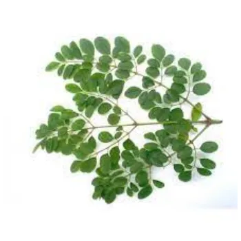 Organic Moringa Leaves