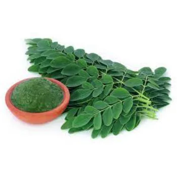 Natural Dried Moringa Leaves