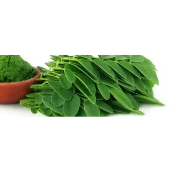 Natural Moringa Leaves