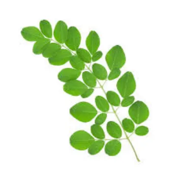 Natural Moringa Leaves