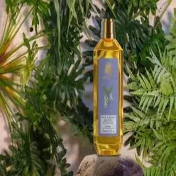 Common Cold Pressed Moringa Oil Manufacturer