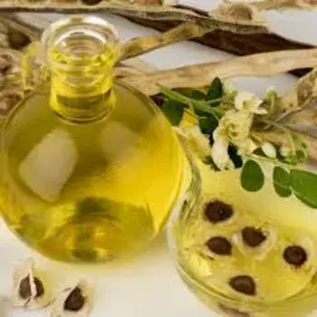 Moringa Oil Manufacturer