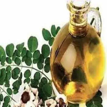Moringa Oil Manufacturer