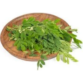 Moringa Leaves