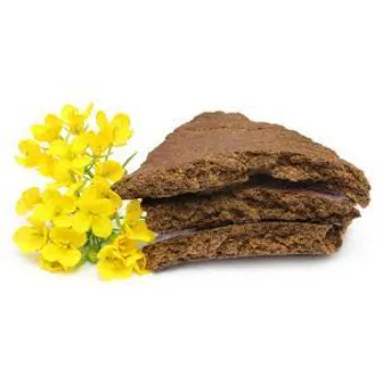  Mustard Cake