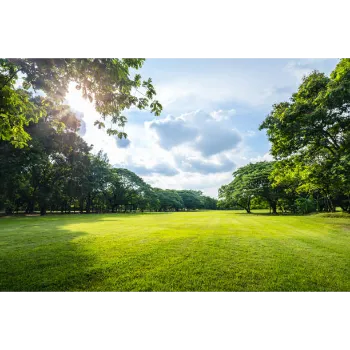 Natural Grass