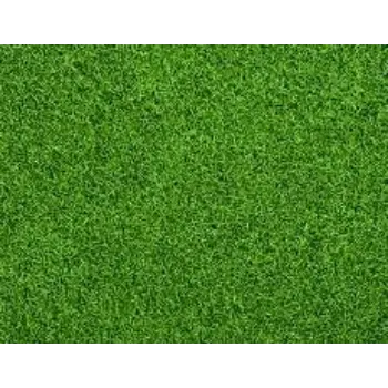 Organic Natural Grass