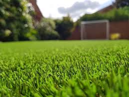 Natural Nilgiri Grass