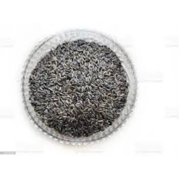  Niger Seeds