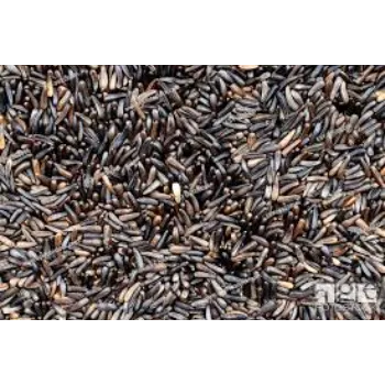 Fresh  Niger Seeds