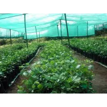 Gardening  Nursery Shade Net