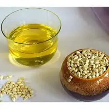Nut Oil Manufacturer