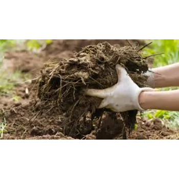  Organic Fertilizer