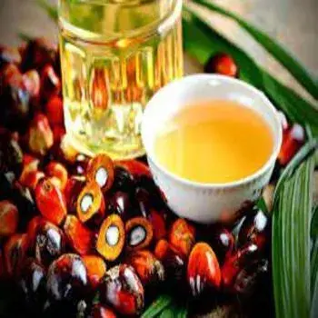 Palm Oil