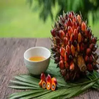 Palm Oil