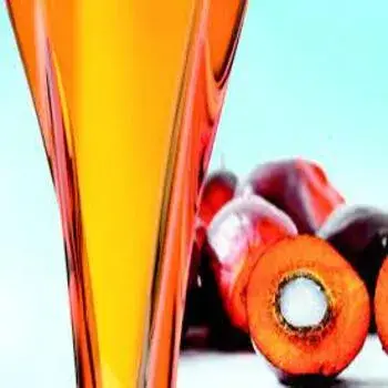 Common Refined Palm Oil