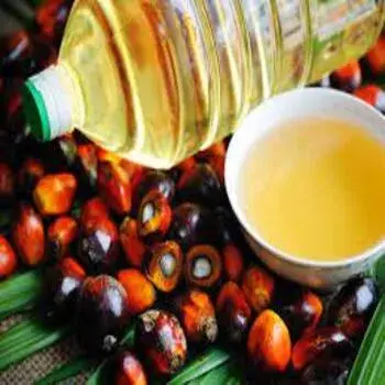 Palm Olein Oil