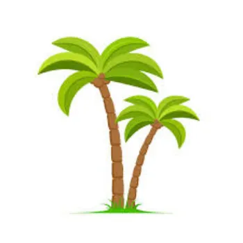 Organic Plam Tree