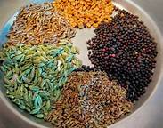 Common Panch Phoron