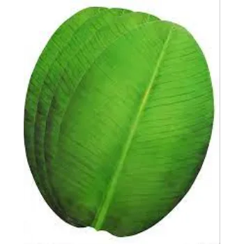 Paper Banana Leaf