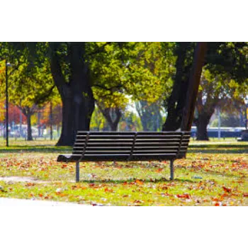 Polished  Park Bench
