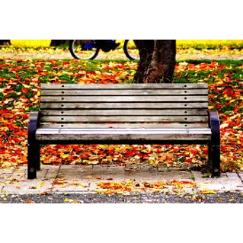  Park Bench