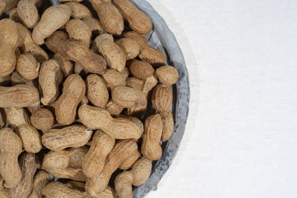 Common  Peanut