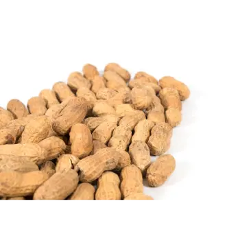 Organic Peanuts